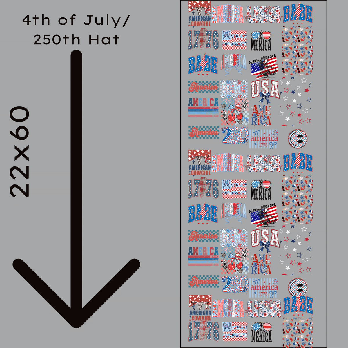 4th of July/250th Hat