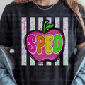 Back to School Striped Apple Sped
