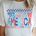 Checkered America
