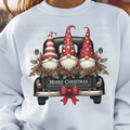 Gnomes with Vintage Black Truck