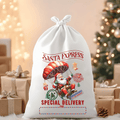 North Pole Express Santa Parachuting with Presents Santa Sack