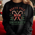 North Pole University