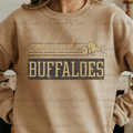 Retro Vibes Buffaloes