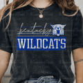 Retro Vibes KY Wildcats