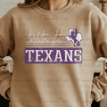 Retro Vibes Texans