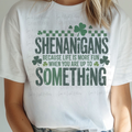 Shenanigans Because Life is More Fun